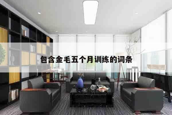包含金毛五个月训练的词条