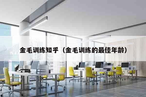 金毛训练知乎（金毛训练的最佳年龄）