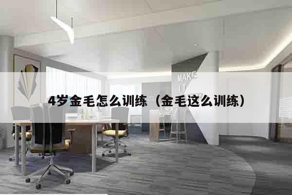 4岁金毛怎么训练（金毛这么训练）