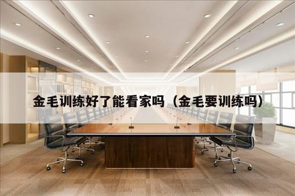 金毛训练好了能看家吗（金毛要训练吗）