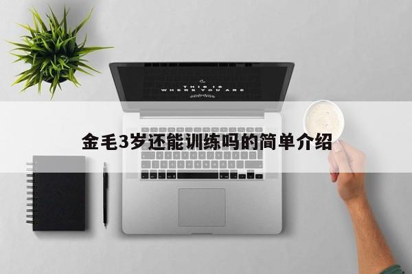 金毛3岁还能训练吗的简单介绍