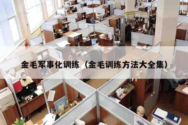 金毛军事化训练（金毛训练方法大全集）