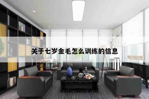 关于七岁金毛怎么训练的信息