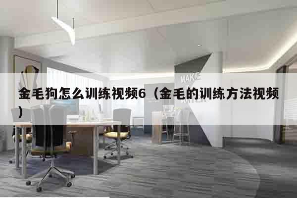 金毛狗怎么训练视频6（金毛的训练方法视频）