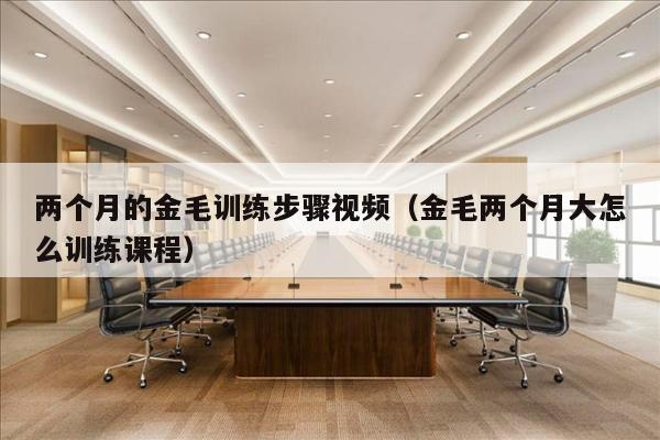 两个月的金毛训练步骤视频（金毛两个月大怎么训练课程）