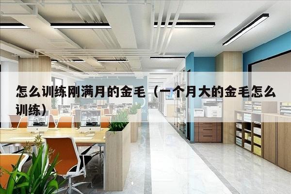 怎么训练刚满月的金毛（一个月大的金毛怎么训练）