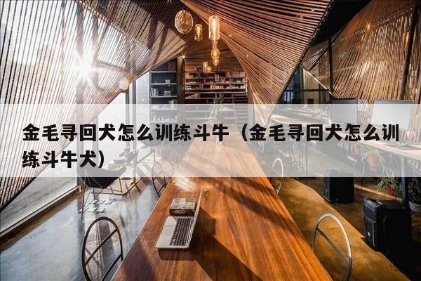 金毛寻回犬怎么训练斗牛（金毛寻回犬怎么训练斗牛犬）
