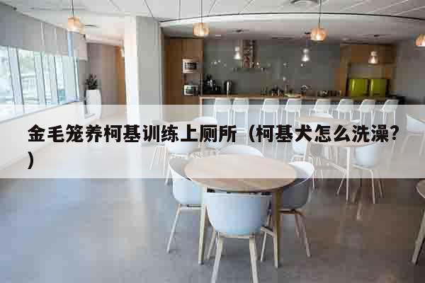 金毛笼养柯基训练上厕所（柯基犬怎么洗澡?）