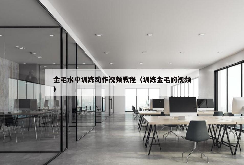 金毛水中训练动作视频教程（训练金毛的视频）