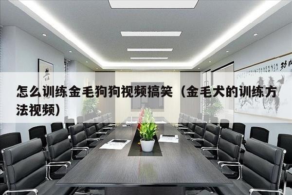 怎么训练金毛狗狗视频搞笑（金毛犬的训练方法视频）