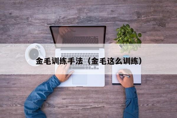 金毛训练手法（金毛这么训练）