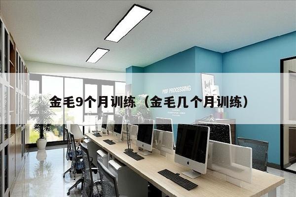 金毛9个月训练（金毛几个月训练）