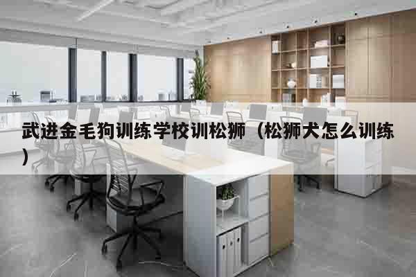 武进金毛狗训练学校训松狮（松狮犬怎么训练）