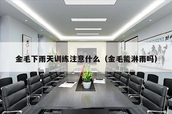 金毛下雨天训练注意什么（金毛能淋雨吗）