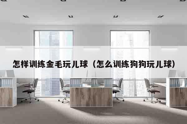 怎样训练金毛玩儿球（怎么训练狗狗玩儿球）