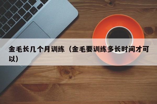 金毛长几个月训练（金毛要训练多长时间才可以）