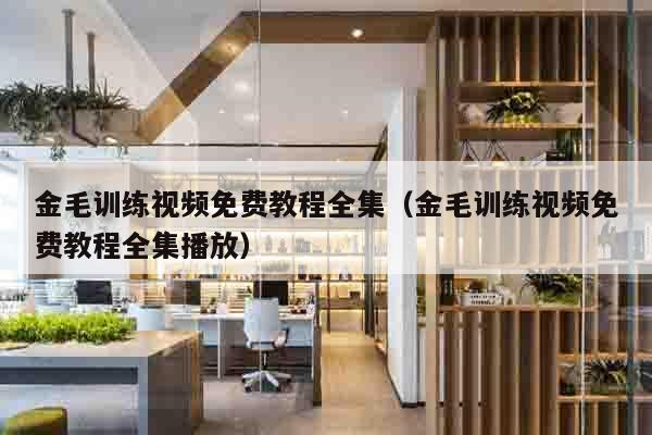 金毛训练视频免费教程全集（金毛训练视频免费教程全集播放）