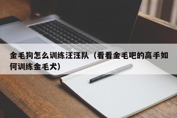 金毛狗怎么训练汪汪队（看看金毛吧的高手如何训练金毛犬）