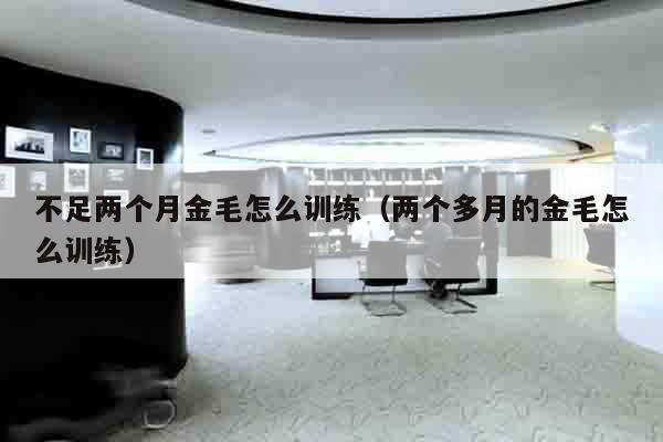 不足两个月金毛怎么训练（两个多月的金毛怎么训练）