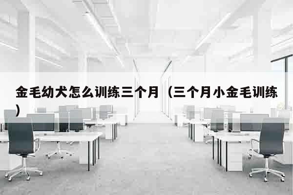 金毛幼犬怎么训练三个月（三个月小金毛训练）