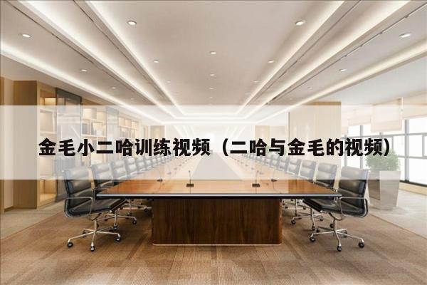 金毛小二哈训练视频（二哈与金毛的视频）