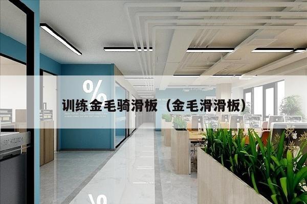训练金毛骑滑板（金毛滑滑板）