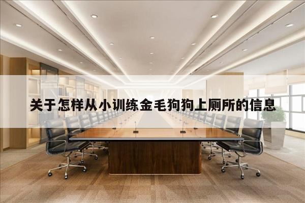 关于怎样从小训练金毛狗狗上厕所的信息