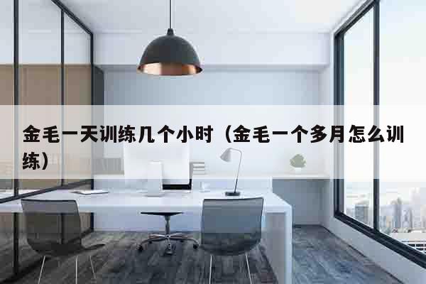 金毛一天训练几个小时（金毛一个多月怎么训练）