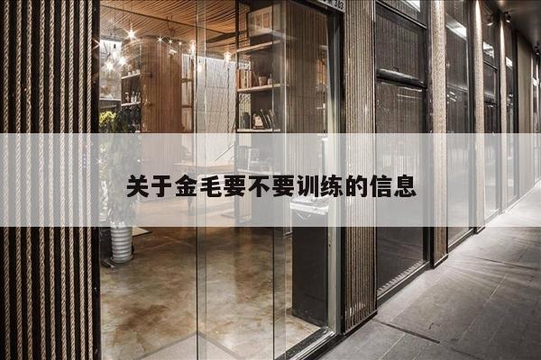 关于金毛要不要训练的信息