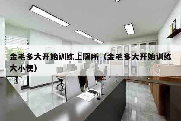 金毛多大开始训练上厕所（金毛多大开始训练大小便）