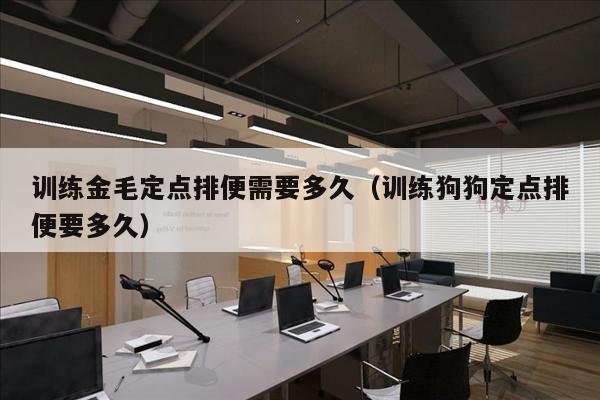 训练金毛定点排便需要多久（训练狗狗定点排便要多久）