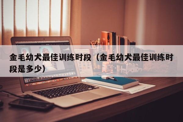 金毛幼犬最佳训练时段（金毛幼犬最佳训练时段是多少）