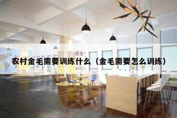 农村金毛需要训练什么（金毛需要怎么训练）