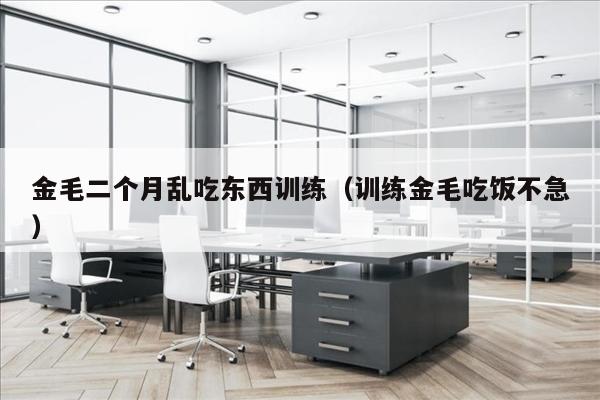 金毛二个月乱吃东西训练（训练金毛吃饭不急）
