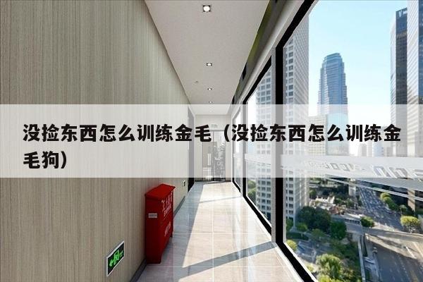 没捡东西怎么训练金毛（没捡东西怎么训练金毛狗）