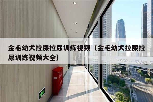 金毛幼犬拉屎拉尿训练视频（金毛幼犬拉屎拉尿训练视频大全）