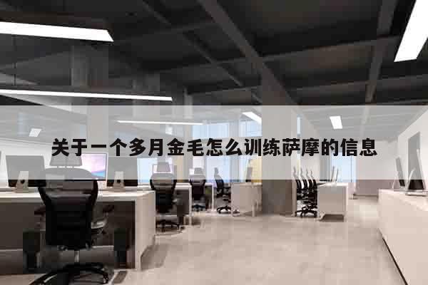 关于一个多月金毛怎么训练萨摩的信息