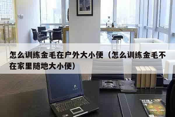 怎么训练金毛在户外大小便（怎么训练金毛不在家里随地大小便）