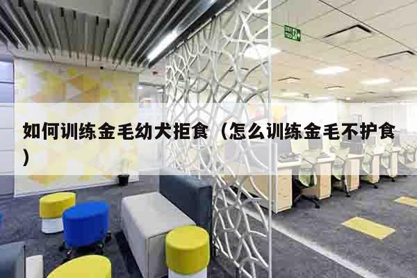 如何训练金毛幼犬拒食（怎么训练金毛不护食）