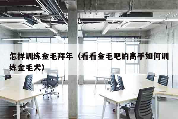 怎样训练金毛拜年（看看金毛吧的高手如何训练金毛犬）