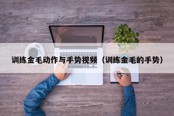 训练金毛动作与手势视频（训练金毛的手势）
