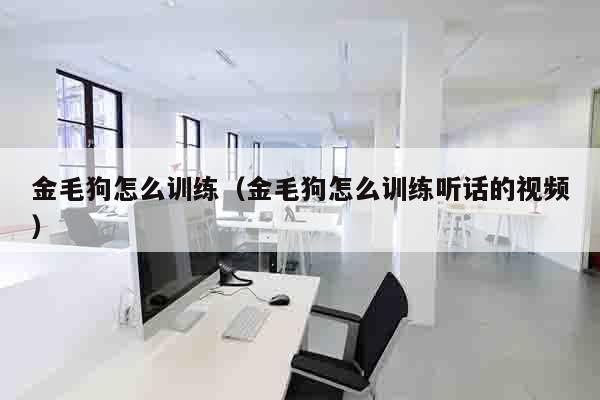 金毛狗怎么训练（金毛狗怎么训练听话的视频）