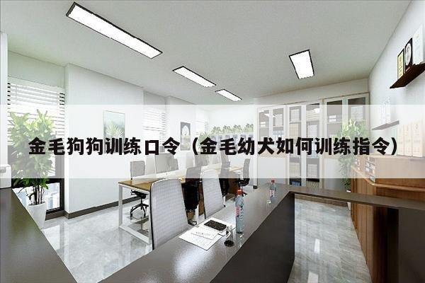金毛狗狗训练口令（金毛幼犬如何训练指令）