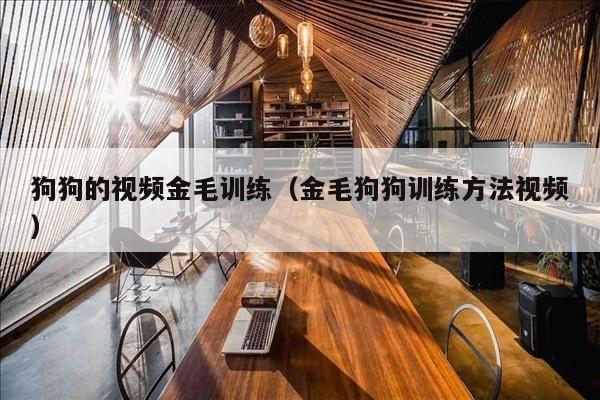 狗狗的视频金毛训练（金毛狗狗训练方法视频）