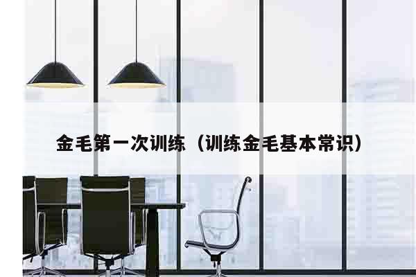 金毛第一次训练（训练金毛基本常识）