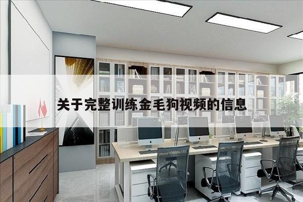 关于完整训练金毛狗视频的信息