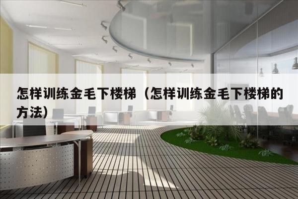 怎样训练金毛下楼梯（怎样训练金毛下楼梯的方法）