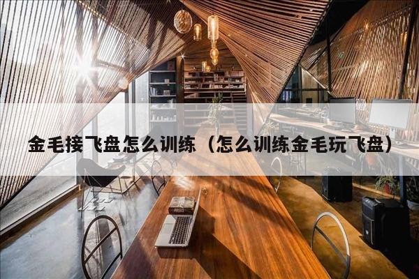 金毛接飞盘怎么训练（怎么训练金毛玩飞盘）