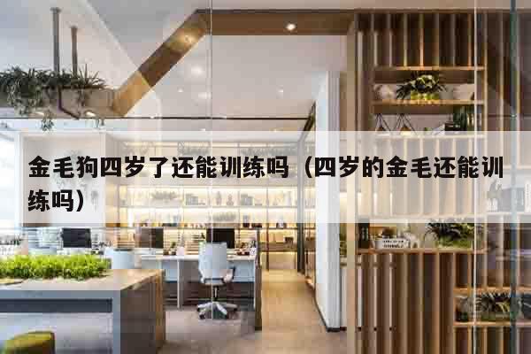 金毛狗四岁了还能训练吗（四岁的金毛还能训练吗）