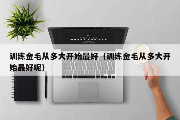 训练金毛从多大开始最好（训练金毛从多大开始最好呢）
